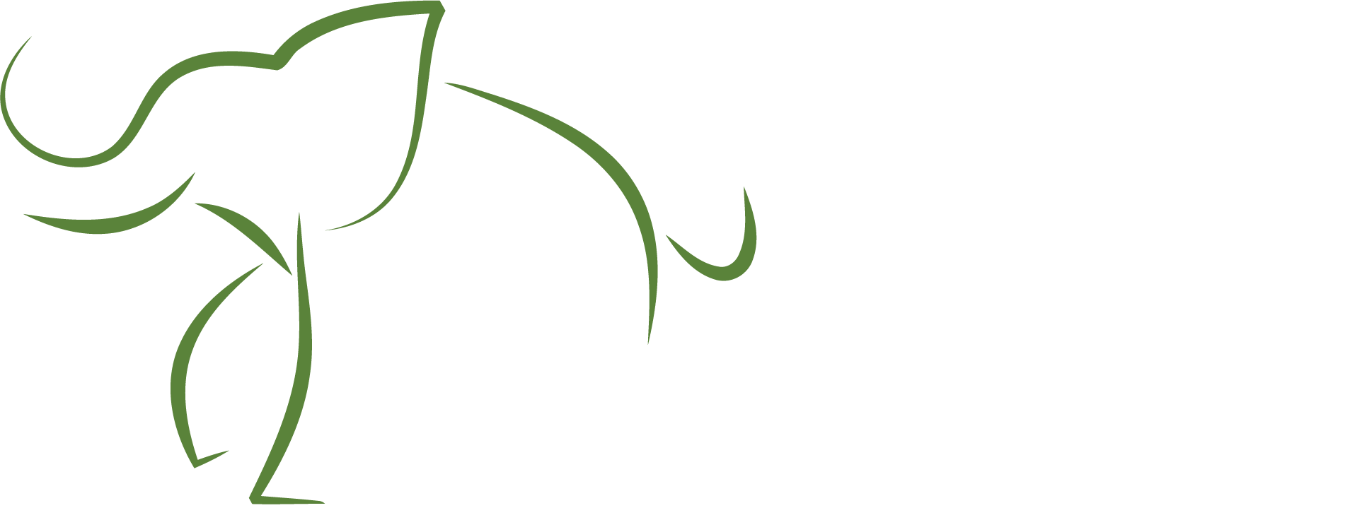 Chang KAO